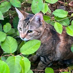 Meet your Posher, Addy